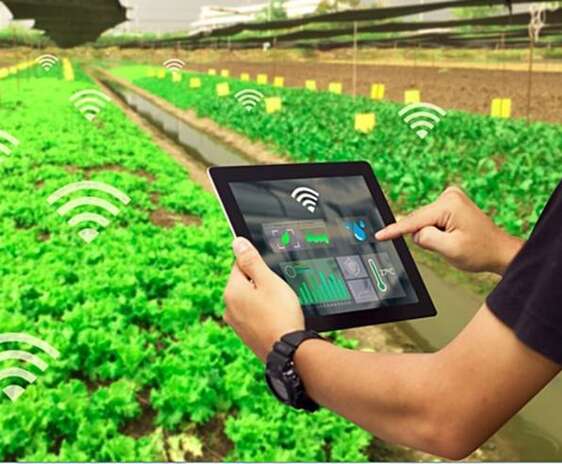 Agricultura de precizie cu senzori wireless intr-o sera