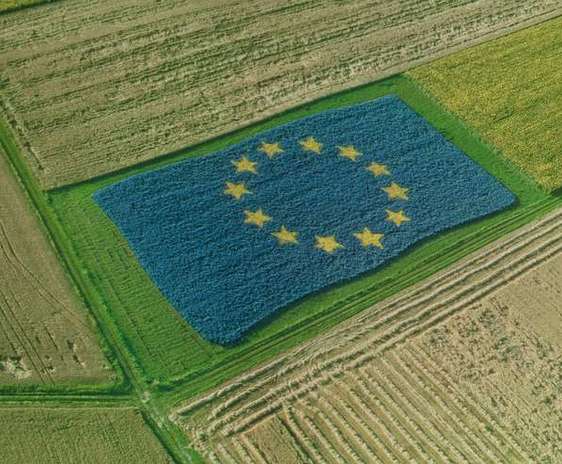 Drapelul Uniunii Europene facut din plante pe un camp agricol