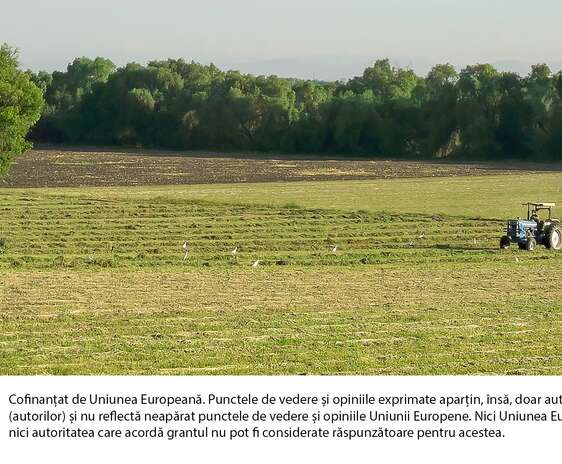 Agricultura regenerativa - un tractor albastru ara un camp pe care au fost lasate culturi perene Pexels / Giovanny Hernández Rodríguez