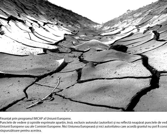 Problema apei în perioada de secetă, o provocare pentru fermieri - Mario A. Villeda / Pexels