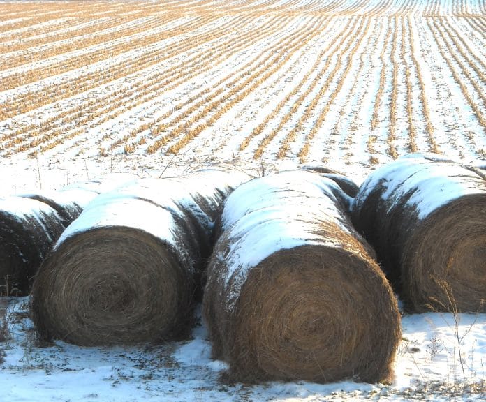 agricultura_iarna agricultura_iarna