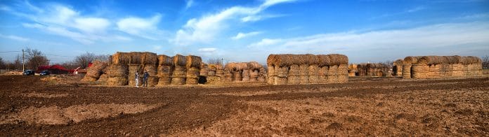img_5785-pano-edit-edit