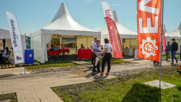 _dsc5537