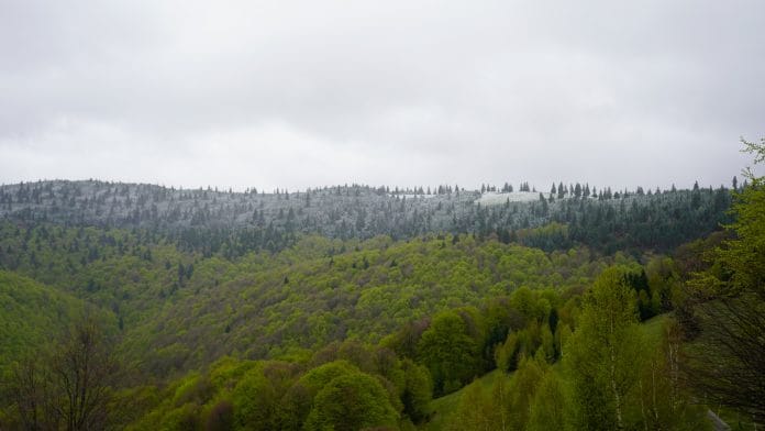 _dsc4372 _dsc4372