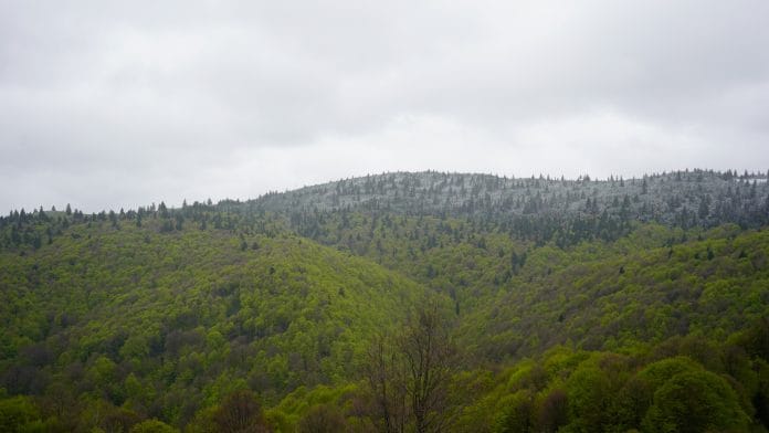 _dsc4373 _dsc4373