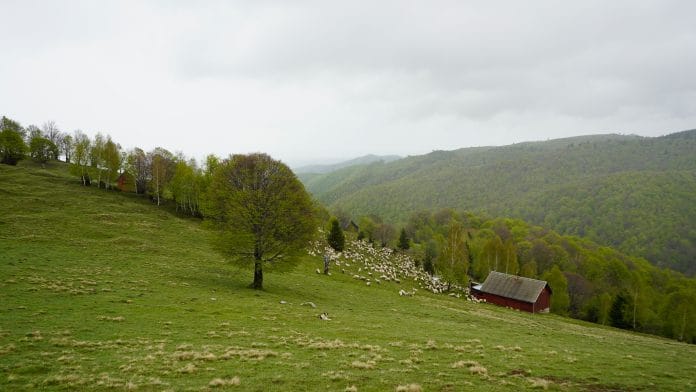_dsc4384 _dsc4384