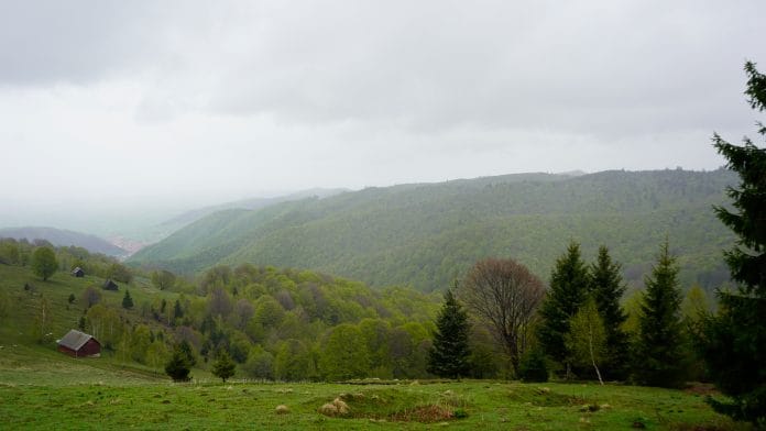 _dsc4394 _dsc4394