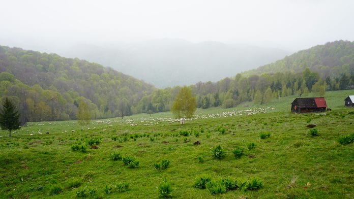 _dsc4437 _dsc4437