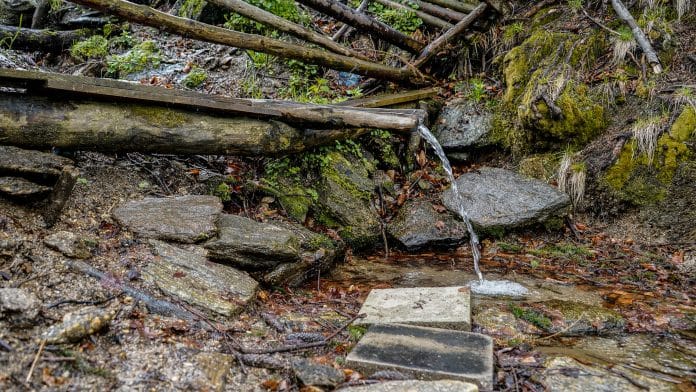 _dsc4445 _dsc4445