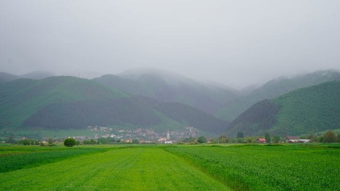 _dsc4554 _dsc4554
