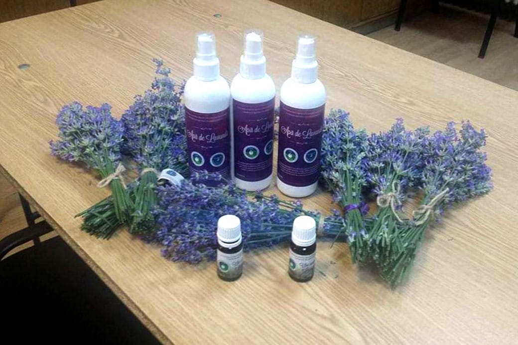 De ce să cultivăm plante medicinale și aromatice 7 03 4
