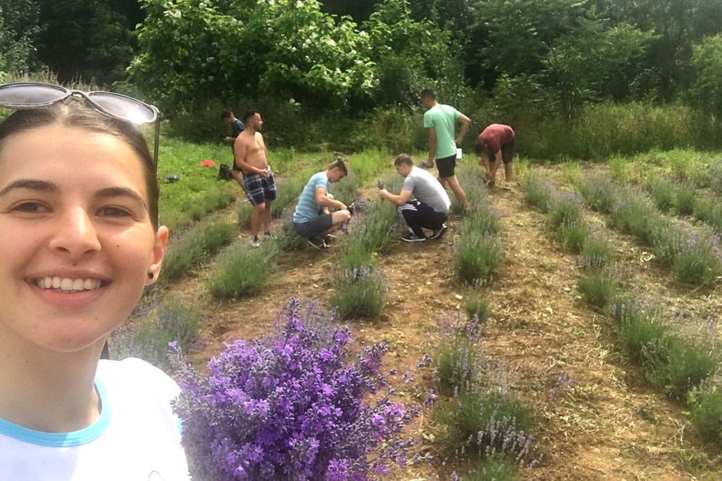 De ce să cultivăm plante medicinale și aromatice 12 04 4