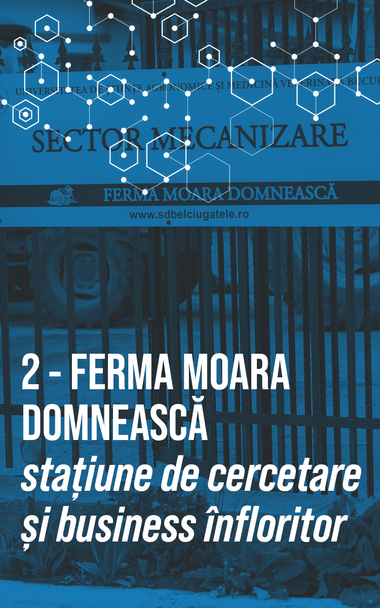 cover-2-mob