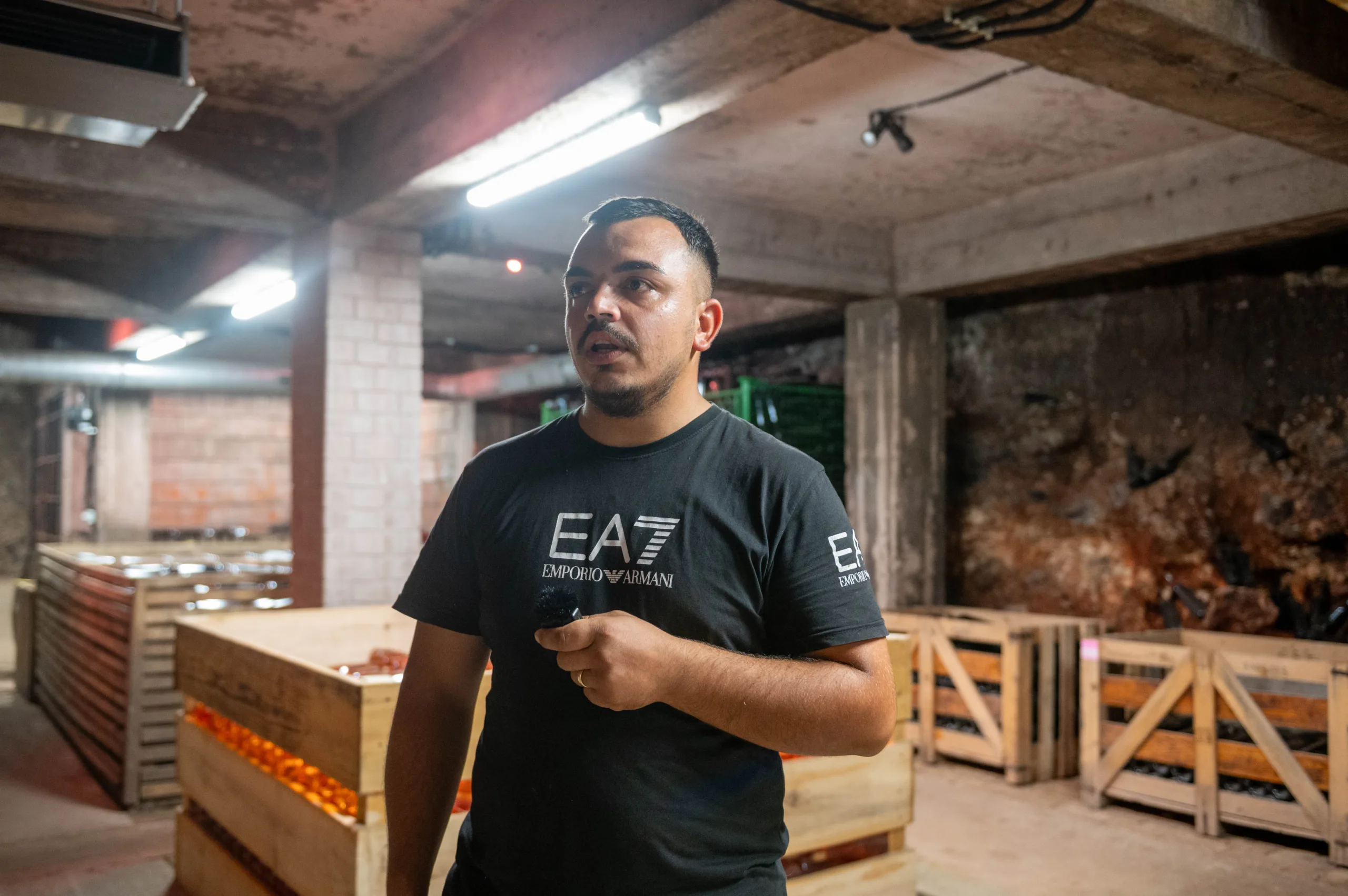 Alexandru, coordonatorul activităților din vie și al vinificației.