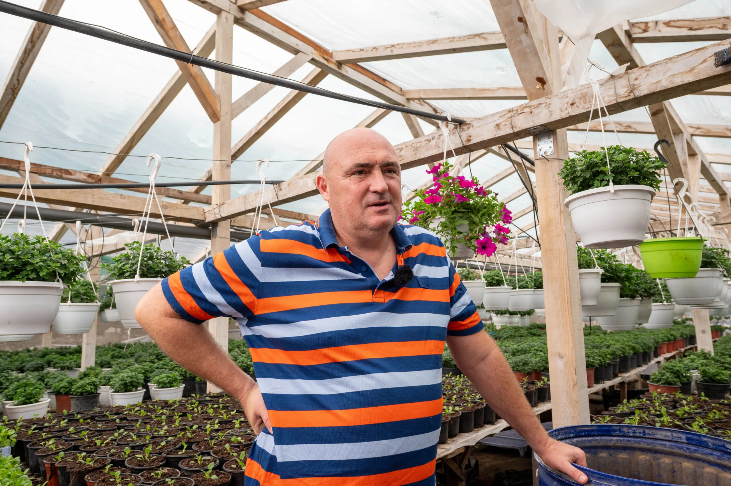 Afacere cu flori, la malul mării 2 Liviu Burcă, proprietarul serei Foto: Arturo Cimini