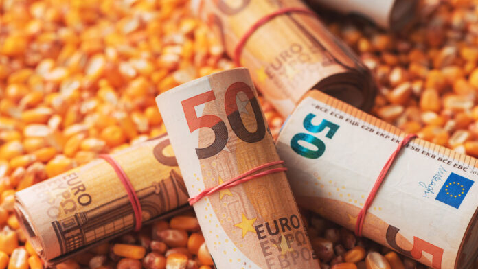 finantari-pentru-agricultura-euro-currency-rolls-on-yellow-seed-background-2026-09-23-02-28-42-utc Suluri de 50 de euro deasupra unor semințe de porumb